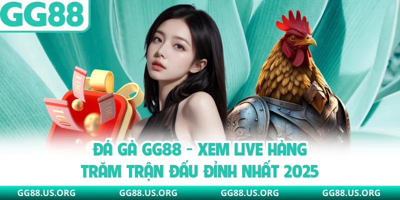 Đá Gà GG88 - Xem Live Hàng Trăm Trận Đấu Đỉnh Nhất 2026