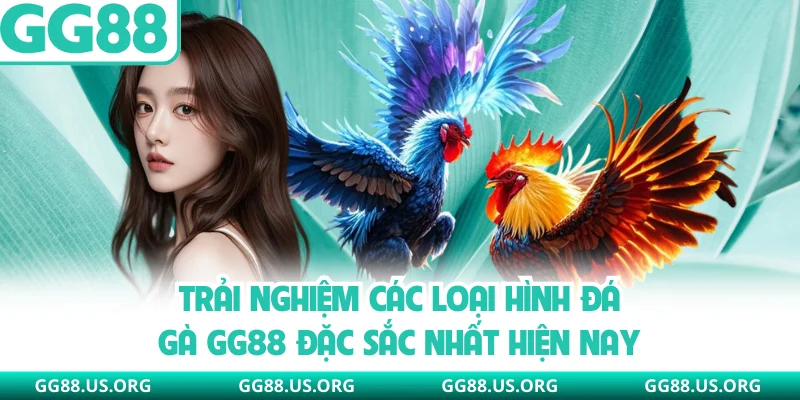 Trải nghiệm các loại hình đá gà GG88 đặc sắc nhất hiện nay